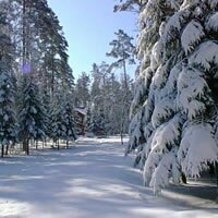 Отдых зимой в Подмосковье